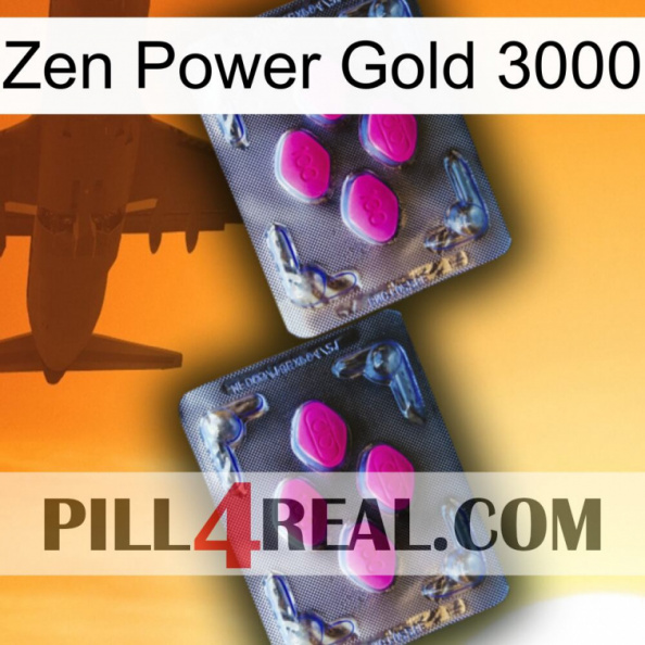 Zen Power Gold 3000 01.jpg